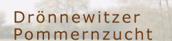 Drönnewitzer Pommernzucht Drönnewitzer Pommernzucht